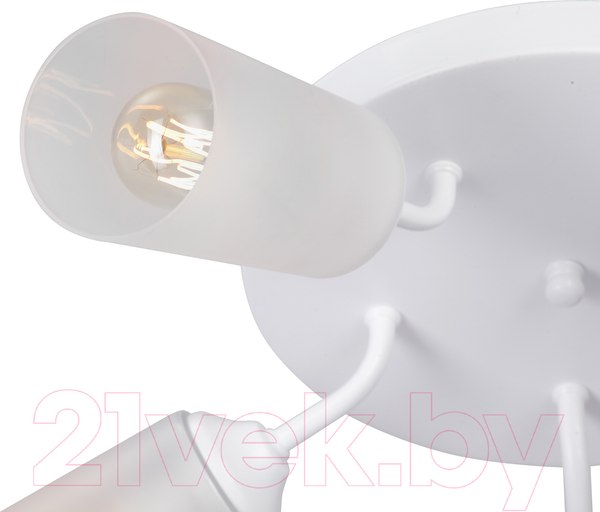 Изображение товара Люстра Vitaluce V3762-0/5PL