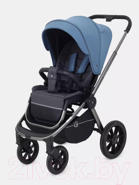 Изображение товара Детская универсальная коляска Rant Flex Pro 3 в 1 2023 / RA075 (Blue)