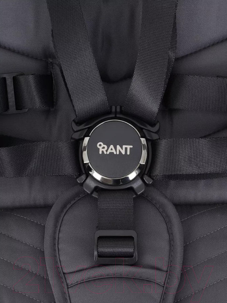 Изображение товара Детская универсальная коляска Rant Flex Pro 3 в 1 2023 / RA075 (Blue)