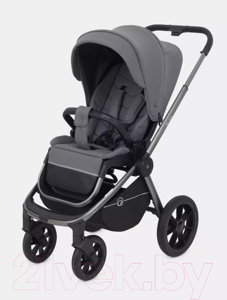 Изображение товара Детская универсальная коляска Rant Flex Pro 3 в 1 2023 / RA075 (Grey)