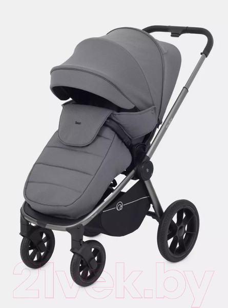 Изображение товара Детская универсальная коляска Rant Flex Pro 3 в 1 2023 / RA075 (Grey)