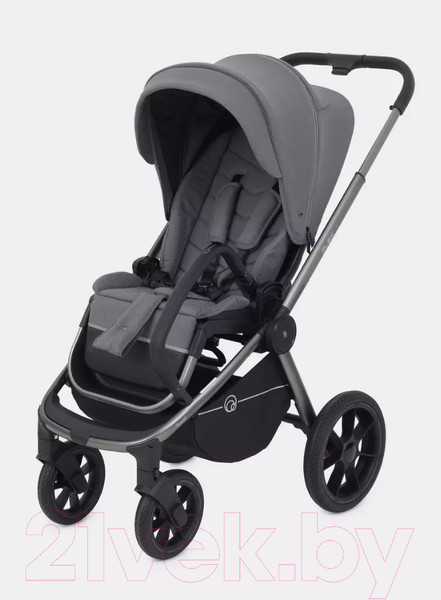Изображение товара Детская универсальная коляска Rant Flex Pro 3 в 1 2023 / RA075 (Grey)
