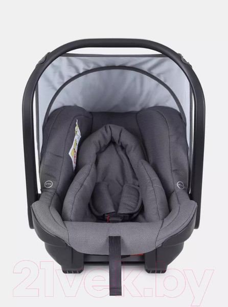 Изображение товара Детская универсальная коляска Rant Flex Pro 3 в 1 2023 / RA075 (Grey)