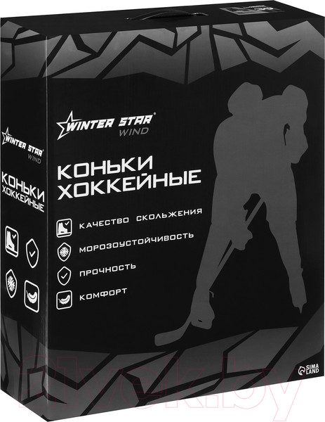 Изображение товара Коньки хоккейные Winter Star 9667116 (р.42)