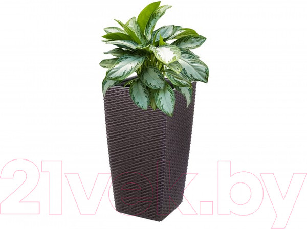 Изображение товара Кашпо El Casa Камелия / 640380 (ротанг/венге)