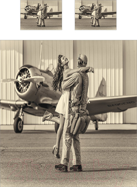 Изображение товара Набор текстиля для спальни Ambesonne Девушка летчика 220x235 / bcsl_39105