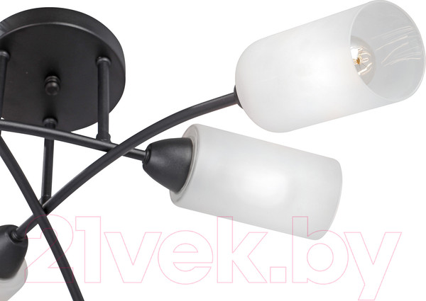 Изображение товара Люстра Vitaluce V4188-1/6PL