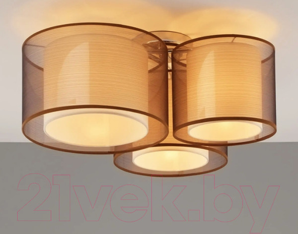 Изображение товара Потолочный светильник Moderli Room / V10623-3C