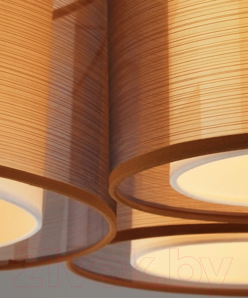 Изображение товара Потолочный светильник Moderli Room / V10623-3C