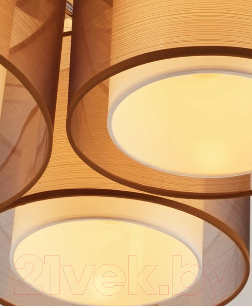 Изображение товара Потолочный светильник Moderli Room / V10623-3C