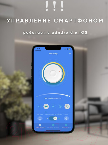 Изображение товара Потолочный светильник Aitin-Pro B8817B/460x460 (черный/золото PBP)