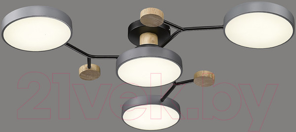 Изображение товара Потолочный светильник Velante 446-207-04