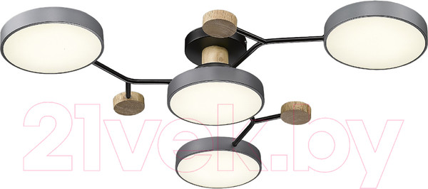 Изображение товара Потолочный светильник Velante 446-207-04