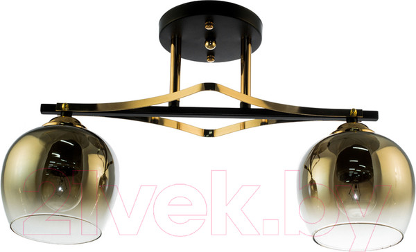 Изображение товара Потолочный светильник Aitin-Pro НПБ 02-2x60-101 / N4744/2