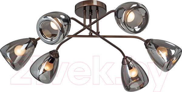 Изображение товара Люстра Vitaluce V4955-7/6PL