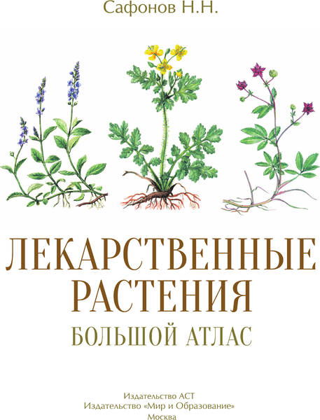 Изображение товара Энциклопедия АСТ Лекарственные растения. Большой атлас (Сафонов Николай)