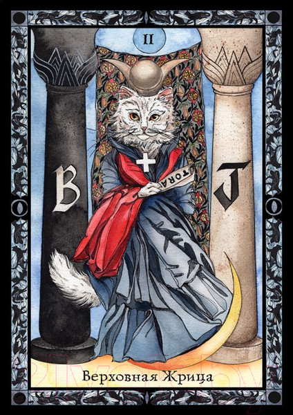 Изображение товара Гадальные карты АСТ Таро теплых котиков. Предсказания, которые помогут и защитят