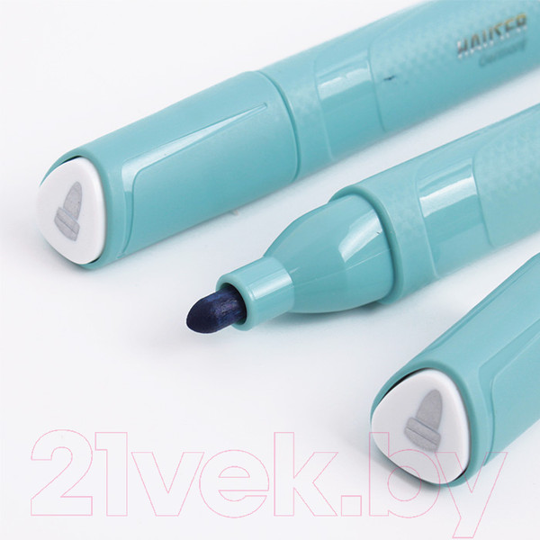 Изображение товара Набор маркеров HAUSER H6344BL (10шт, синий)