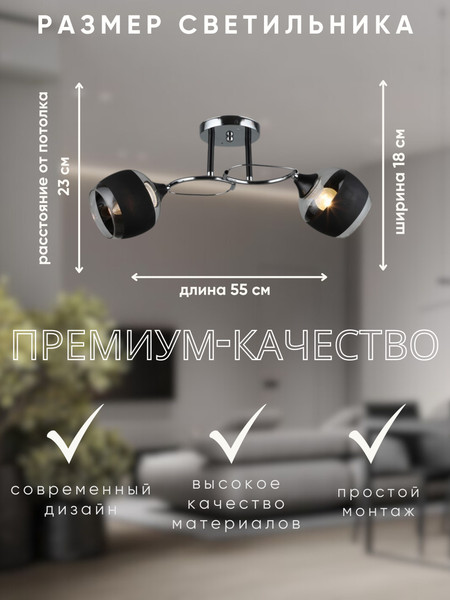 Изображение товара Потолочный светильник Aitin-Pro НПБ 02-2x60-101 / A3791/2 (хром/черный)