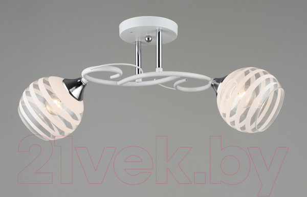 Изображение товара Потолочный светильник Aitin-Pro НПБ 02-2x60-101 / C1722/2 (белый/хром)