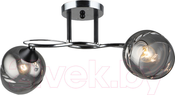 Изображение товара Потолочный светильник Aitin-Pro НПБ 02-2x60-101 / C1725/2 (хром/черный)