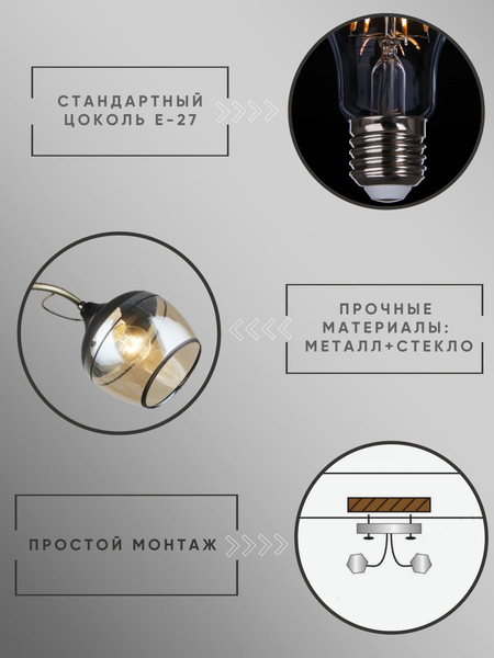 Изображение товара Потолочный светильник Aitin-Pro НПБ 02-2x60-101 / C1727/2 (бронза/черный)