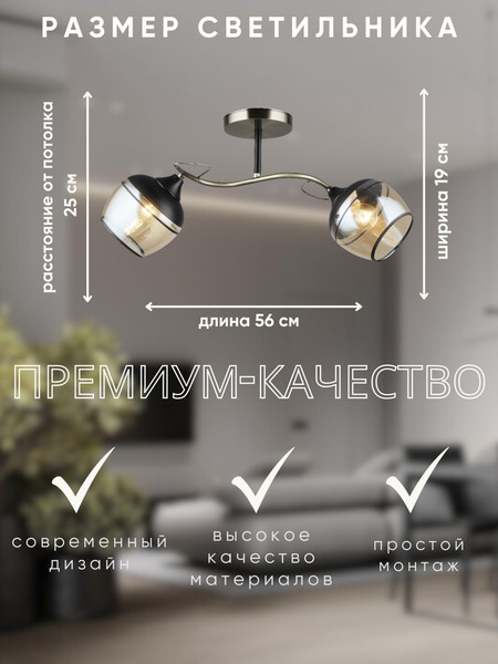 Изображение товара Потолочный светильник Aitin-Pro НПБ 02-2x60-101 / C1727/2 (бронза/черный)