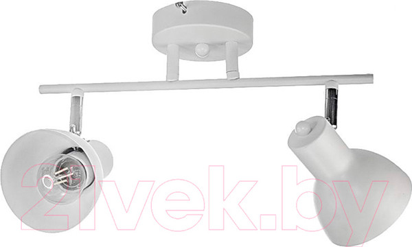 Изображение товара Спот Aitin-Pro НПБ 02-2x60-101 / N4762/2