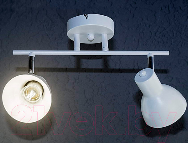 Изображение товара Спот Aitin-Pro НПБ 02-2x60-101 / N4762/2