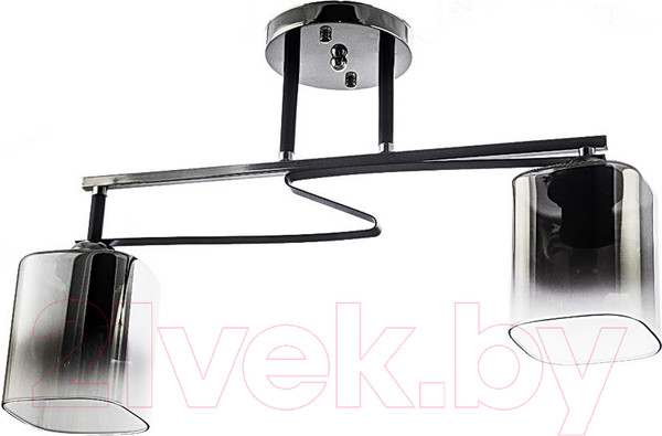 Изображение товара Потолочный светильник Aitin-Pro НПБ 02-2x60-101 / A4057/2 (хром/черный)