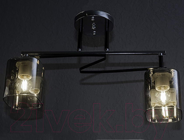 Изображение товара Потолочный светильник Aitin-Pro НПБ 02-2x60-101 / A4057/2 (хром/черный)