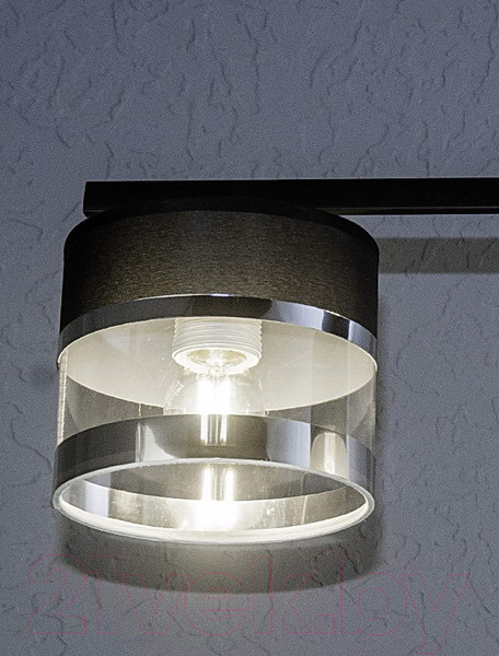 Изображение товара Потолочный светильник Aitin-Pro НПБ 02-3x40-101 / N5395/3 (черный/хром)