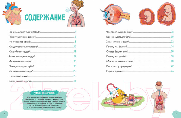 Изображение товара Энциклопедия CLEVER Удивительные энциклопедии. Невероятное тело человека (Валло Д.)