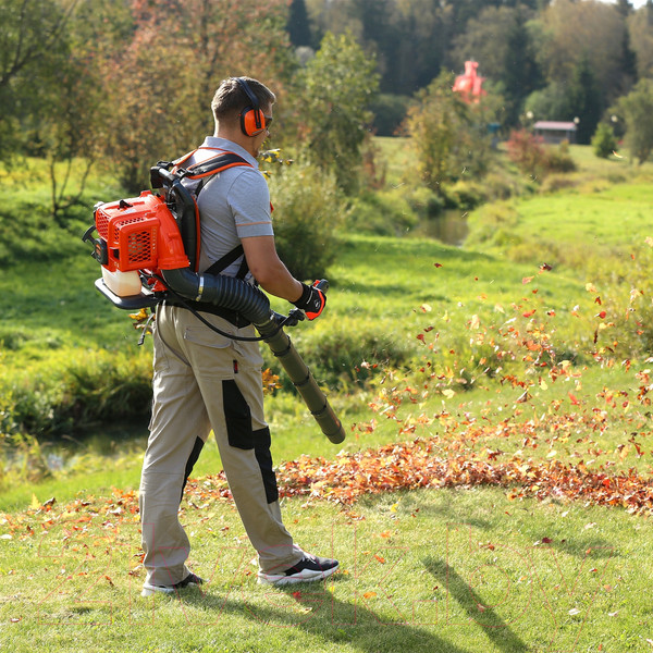 Изображение товара Воздуходувка бензиновая Daewoo Power DABL 520