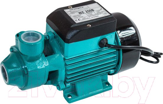 Изображение товара Поверхностный насос GreenPump WZ 250 В