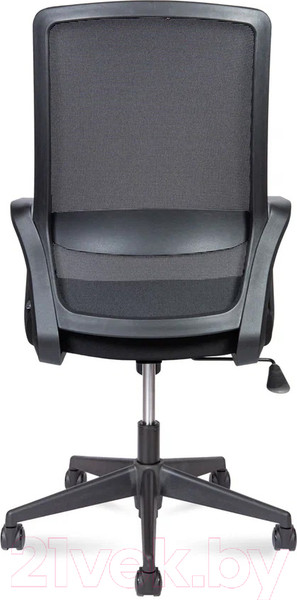 Изображение товара Кресло офисное Norden Pino Black LB / M6256 (черный)