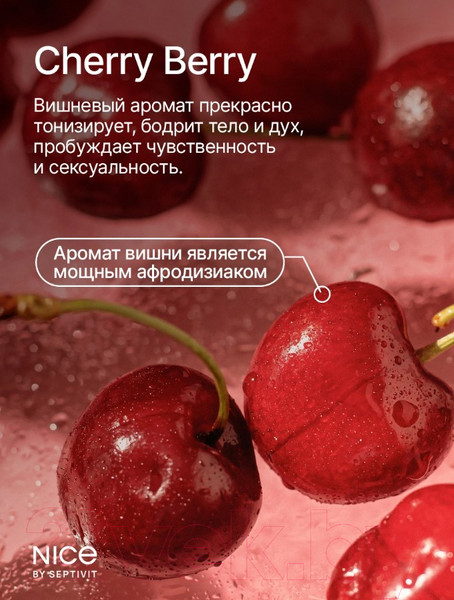 Изображение товара Гель для душа NICE by Septivit Cherry Berry (5л)