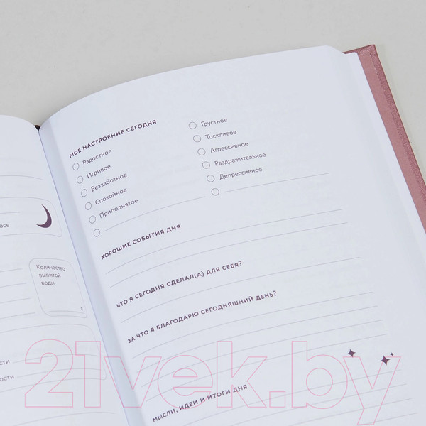 Изображение товара Записная книжка Альпина Дневник заботы о себе / 9785961488890