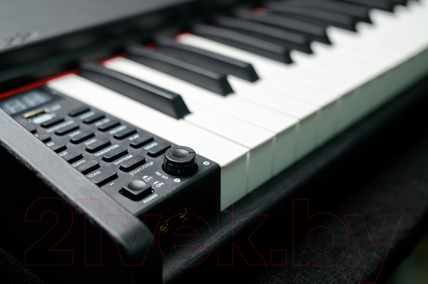 Изображение товара Цифровое фортепиано MikadO MK-1000B (черный)