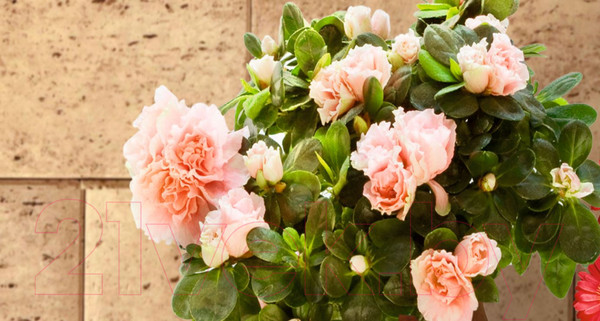 Изображение товара Фотообои листовые ФабрикаФресок Фреска Италия в окне / 021280 (100x280)