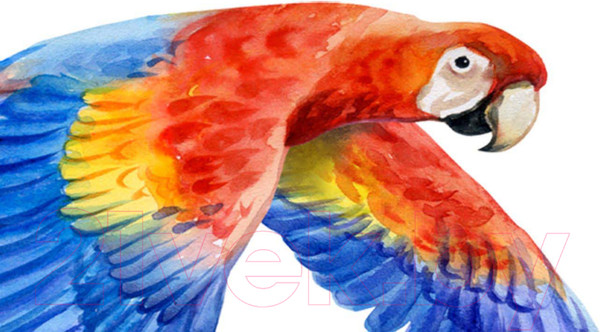 Изображение товара Фотообои листовые ФабрикаФресок Детские Джунгли / 104265 (400x265)