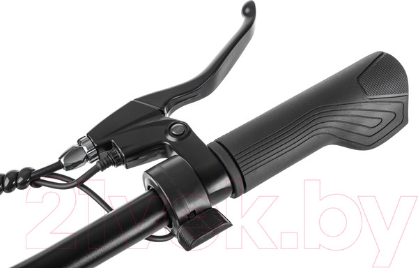 Изображение товара Электровелосипед MyWay Let 250 26 (19, бронзовый)