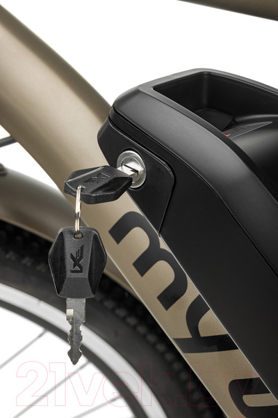 Изображение товара Электровелосипед MyWay Let 250 26 (19, бронзовый)