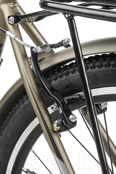 Изображение товара Электровелосипед MyWay Let 250 26 (19, бронзовый)