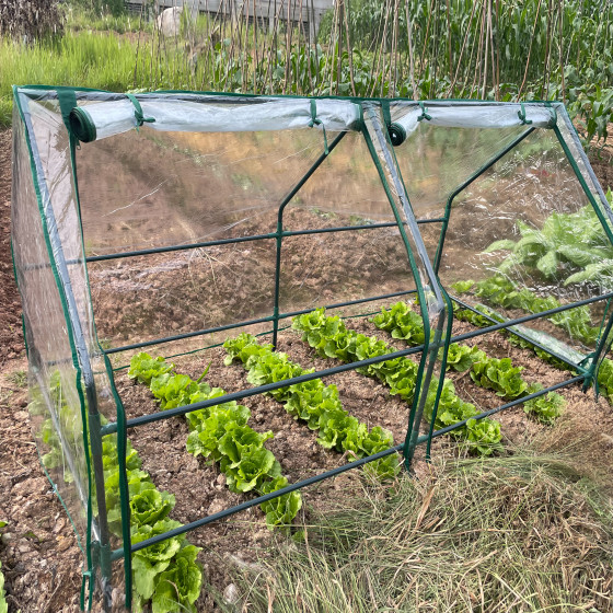 Изображение товара Теплица ЭРА Fito-House-Medium со светильниками / Б0059874