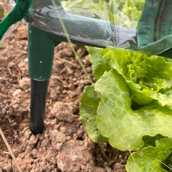 Изображение товара Теплица ЭРА Fito-House-Medium со светильниками / Б0059874