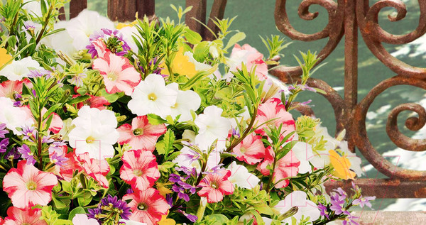 Изображение товара Фотообои листовые ФабрикаФресок Фреска Венеция / 202280 (200x280)