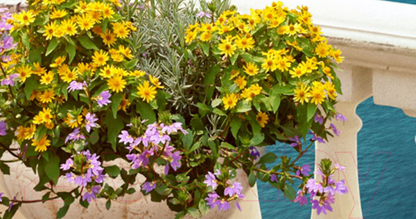 Изображение товара Фотообои листовые ФабрикаФресок Фреска Набережная / 212280 (200x280)