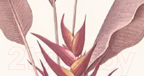 Изображение товара Фотообои листовые ФабрикаФресок Тропические пальмовые листья / 272270 (200x270)