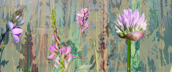 Изображение товара Фотообои листовые ФабрикаФресок Олени в лесу Афреска / 404280 (400x280)